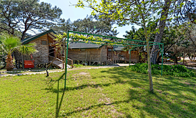 Pine House